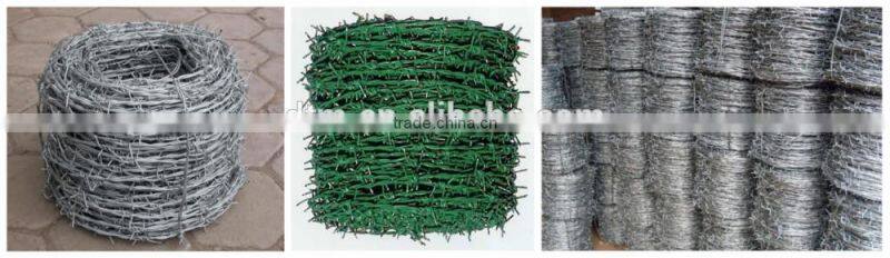 High Quality Galvanized Barbed Wire/PVC Coated Barbed Wire