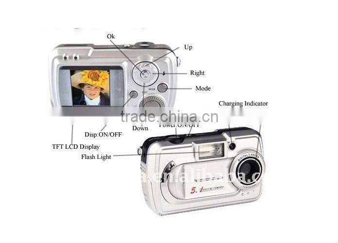 Cheap 4GB memory card digital camera with usb DC2100D