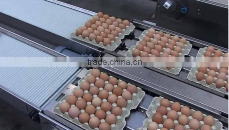 FARM FRESH CHICKEN TABLE EGGS, BROWN SHELL CHICKEN EGGS,WHITE SHELL CHICKEN EGGS