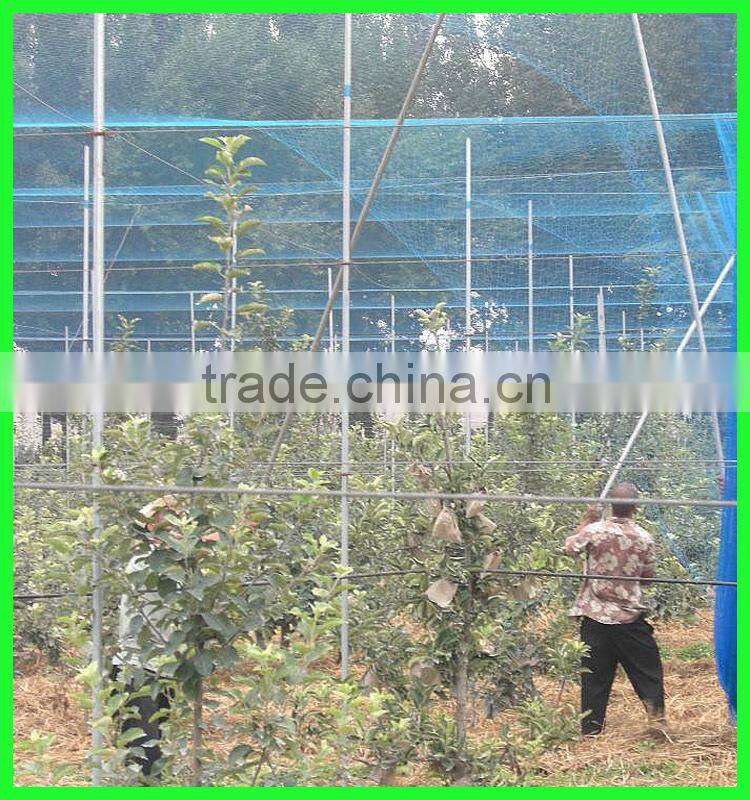 plastic vineyard cover bird wire mesh/fly wire netting