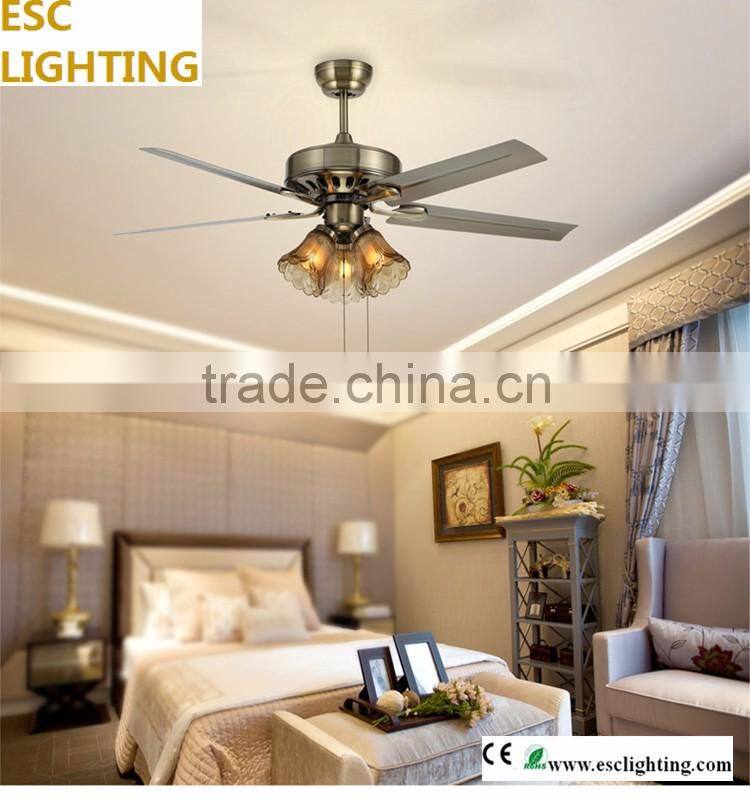 indoor electric ceiling fans with lights