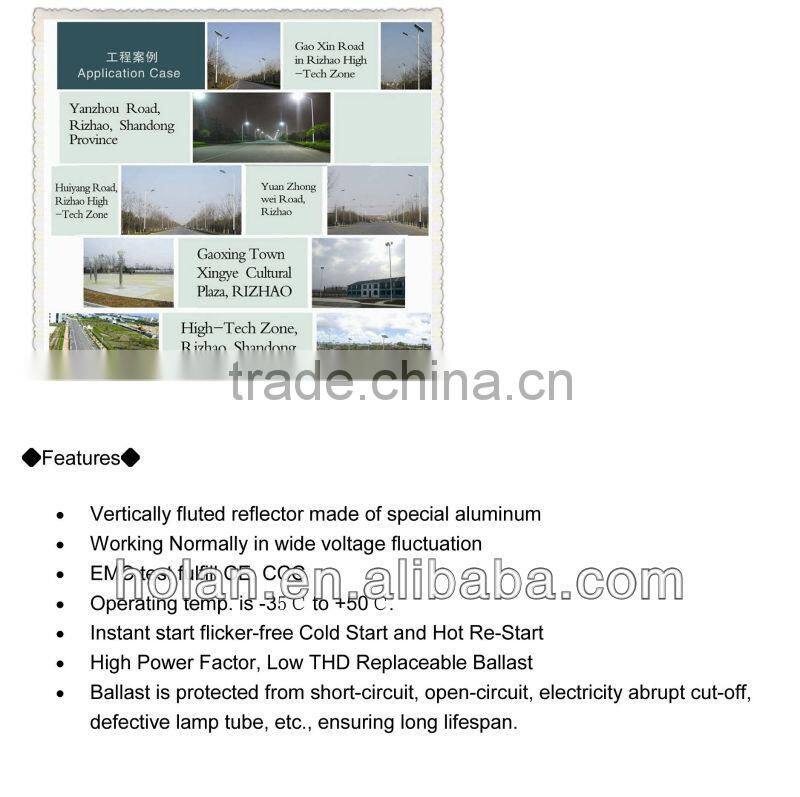 China 80 Watt induction lamp street light