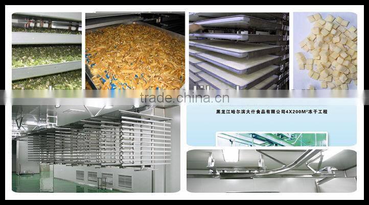 300KG capacity-Production food freeze dryer-electrical heat