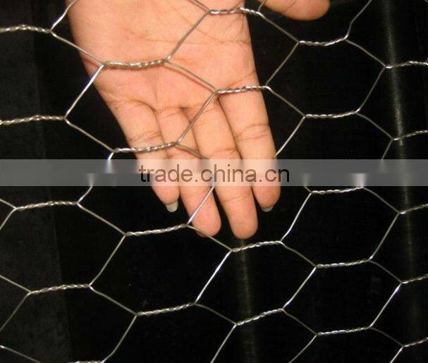 1" Galvanized Hexagonal Chicken Wire Mesh(factory)
