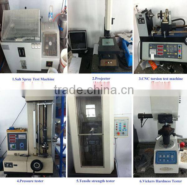 OEM galvanized extension spring