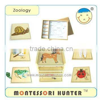 Language Series,Montessori Toys,School equipment