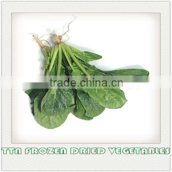 FROZEN DRIED (FD) SPINACH 100% NATURAL GREEN