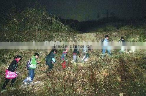 whistle aluminium LED carabiner light