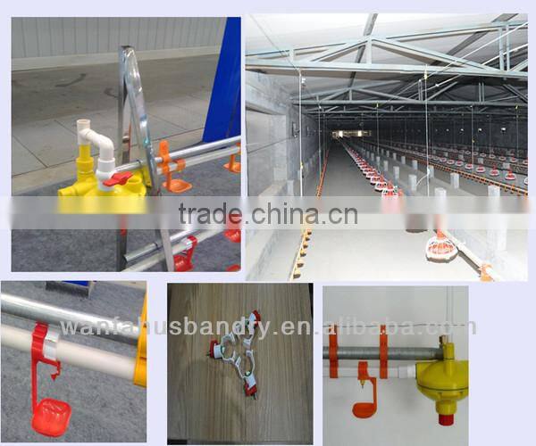 Automatic Poultry Farm Equipment for Chicken Broiler