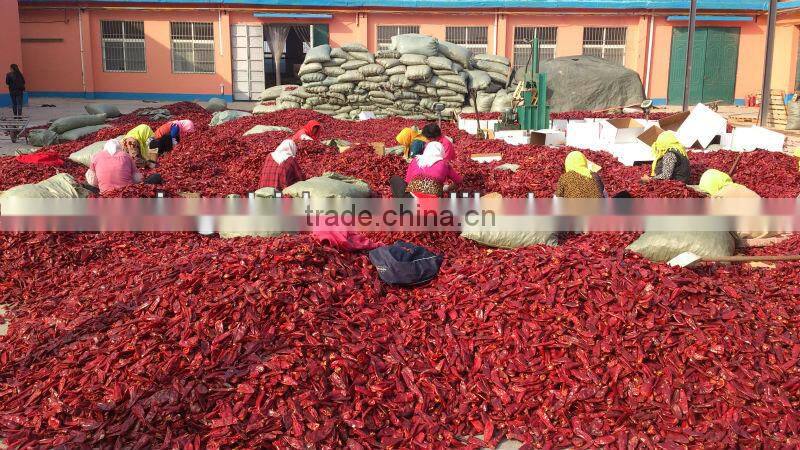 Dried Red Chilli, new crop 2013 ; American red, Jinta , Yidu chilli