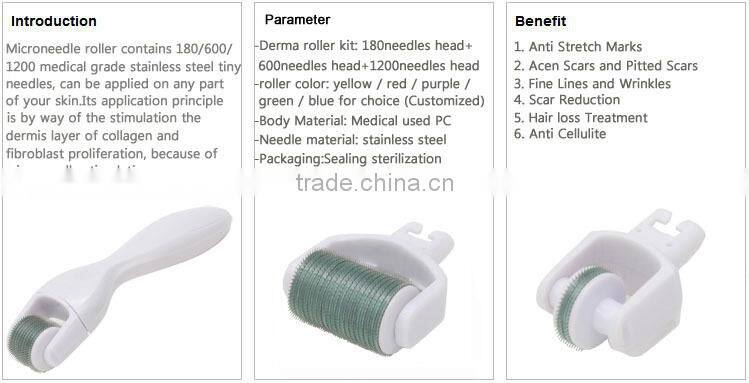2017 Flagship! Facial beauty care product - micro needling derma roller 3 in 1, dermaroller with needles