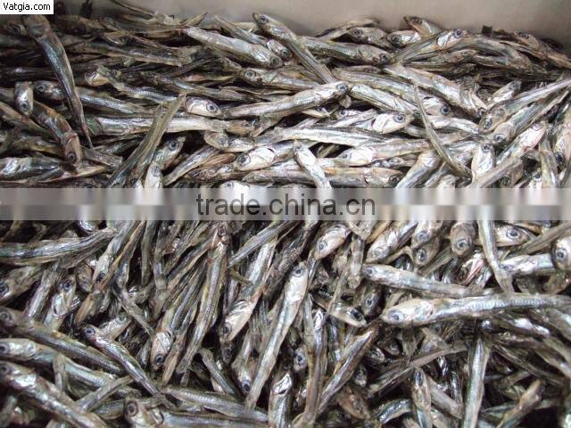 SUPPLIER DRIED SPRATS SILVER LINE EXPORT TO SRILANKA (Email: katherine.vilaconic@ , Viber, Whatsapp: +841687264621)
