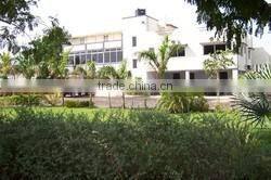 IR 64 Medium Grain Parboiled Rice