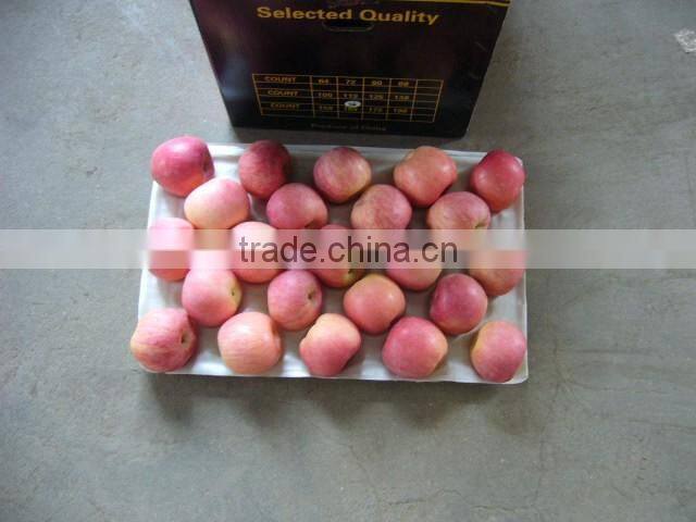 2015 good taste fresh apples