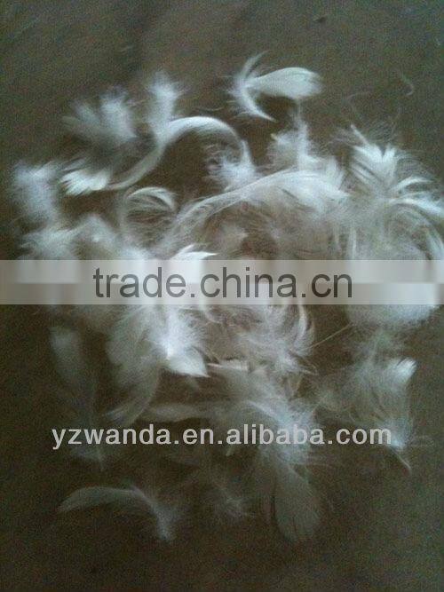 hot selling 80%White Duck Down and Feather