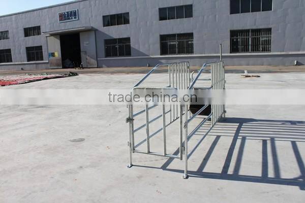 pig farming breeding equipment/ gestation cage/pig cage/Monomer sty/pig stall/sow single stall/nursery stall/farrowing cage