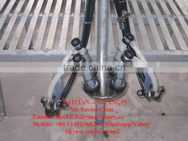 Goat Milking Machine For Sale , Milking Parlor