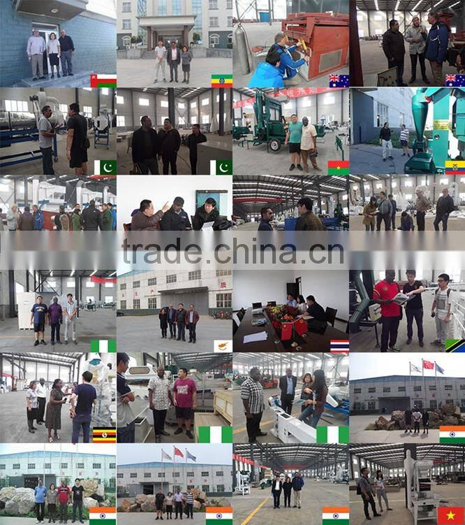 High Quality Small Grain Hopper Screw Feeder Auger