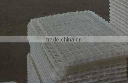 chicken transport box