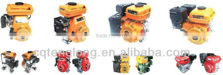 6.5HP Mini Portable Gasoline Engine With 1/2 Reduction Transmission
