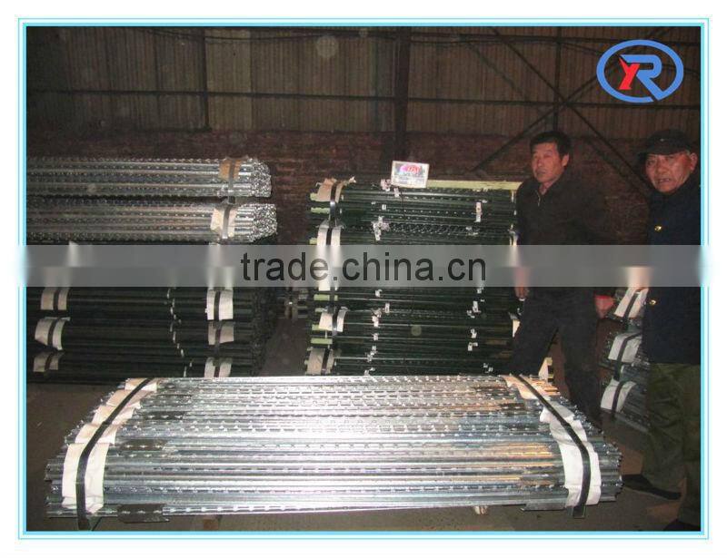 Metal T Bar Fence post for farm fencing