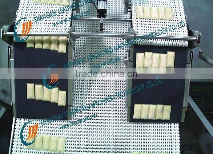 dumpling frozen food conveyor
