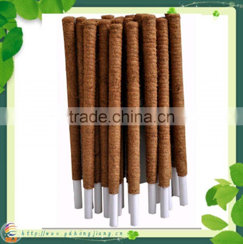 Coir Stake for climbing plant support