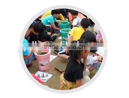 EPP eco-friendly flower pots for children teaching