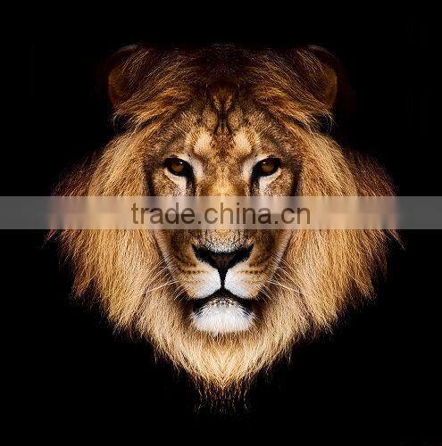 Fashion heating transfer print hoodie without hood / graphic pullover hoodies T13341