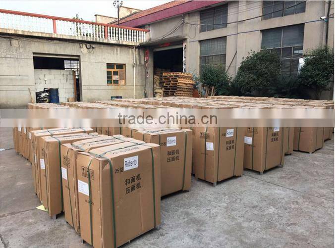 new style 25kg Dough Mixer