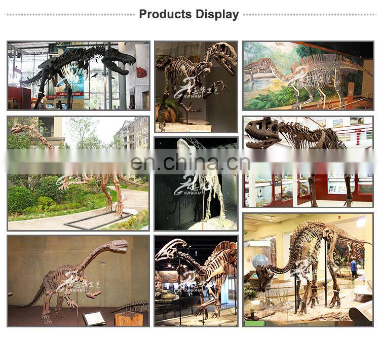 KAWAH Museum Exhibition Display Fake Fiberglass Dinosaur Bone