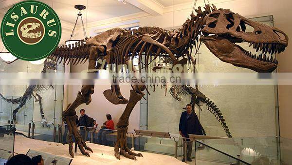 Lisaurus-0552 Imit buried dinosaur fossil in the rock