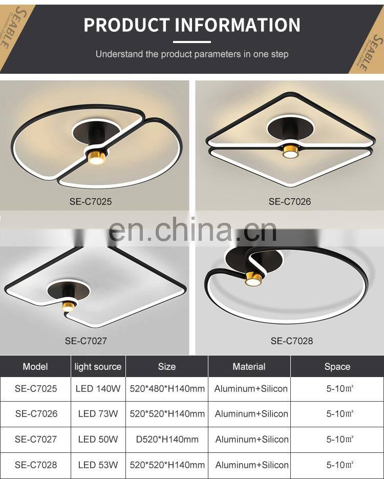 Unique Style Fashion Decoration Home Cafe Shop Aluminum Black Modern LED Indoor Ceiling Lamp