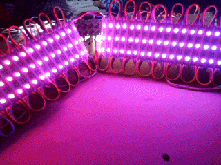 SMD 5050 full color pixel waterproof LED module with factory price DC12V 0.75W