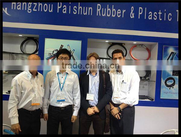 ISO 9001 Flexible 3/4 Inch Rubber Gasoline Hose