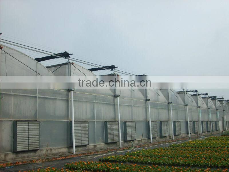 hot sell modern plastic greenhouses