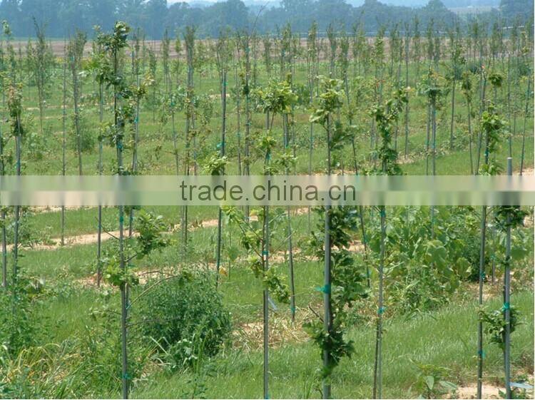 FRP Fiberglass Plant Pole