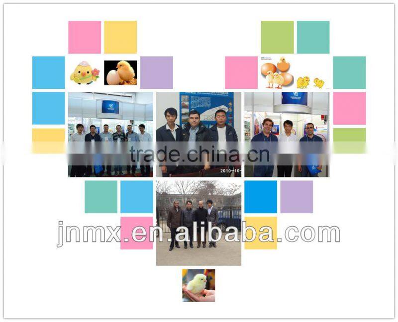 Best designed high efficiency hot sale automatic chicken farm ventilation