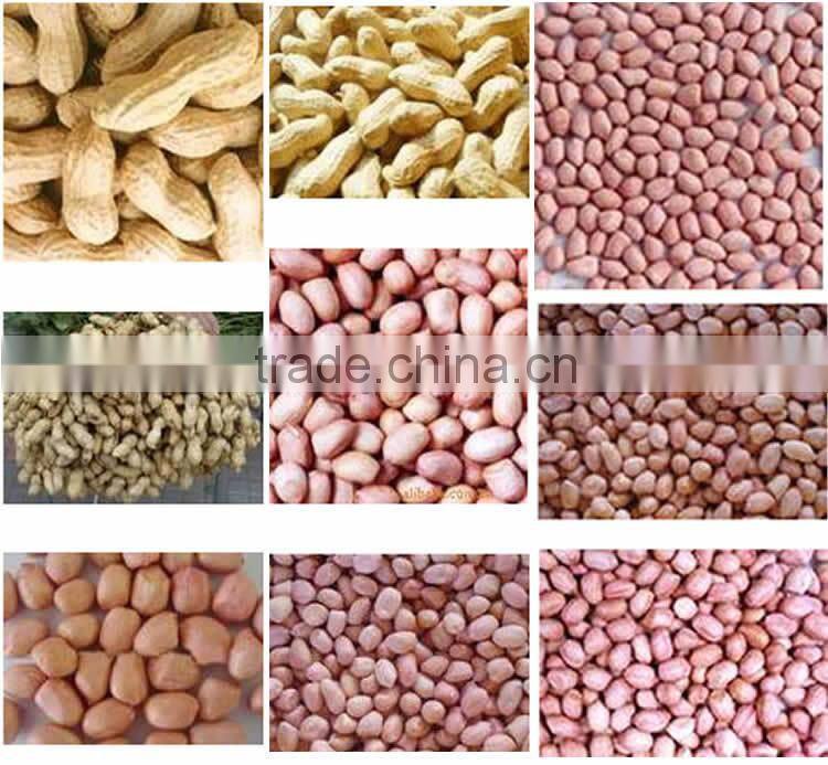 Shandong origin different size peanuts kernel for sale with lowest price