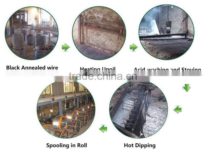 BV hot dipped galvanized iron wire manufacturer ( factory )