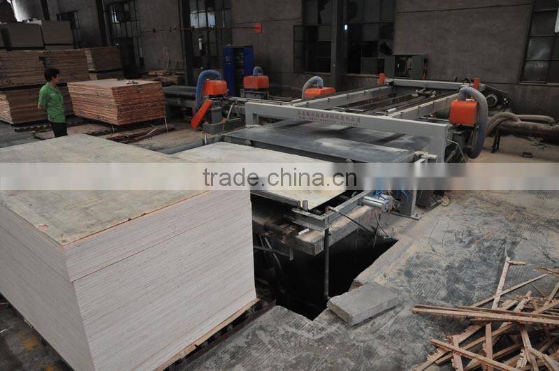 woodworking saw/cutting machine /plywood table saw/DD saw/Plywood triming saw