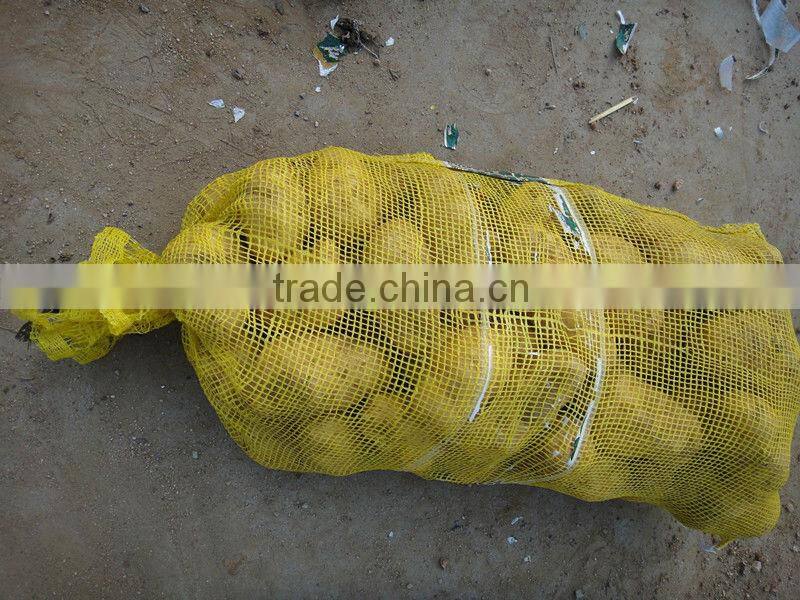 Sell 2013 Fresh holland potato