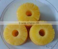 Canned Pineapple Slices in Fresh Juicy