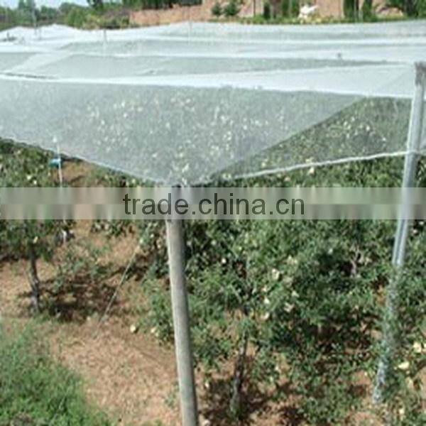 grape orchard anti hail net