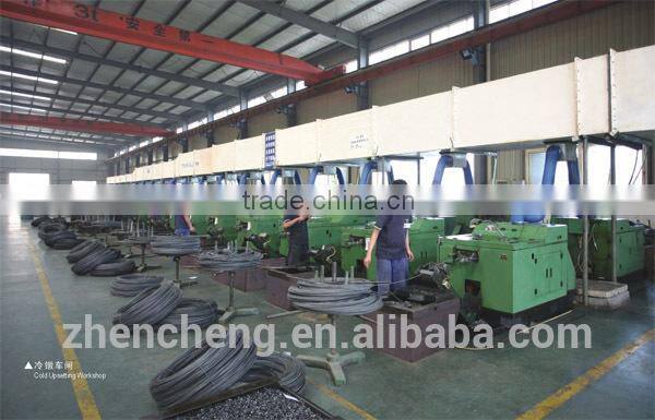 Modified Truss Head self tapping screw zinc plated