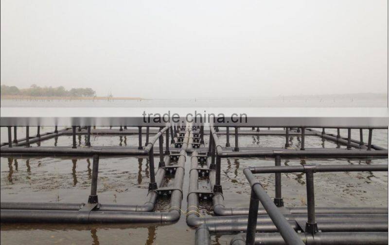 HDPE plastic tilapia fish farms in lake