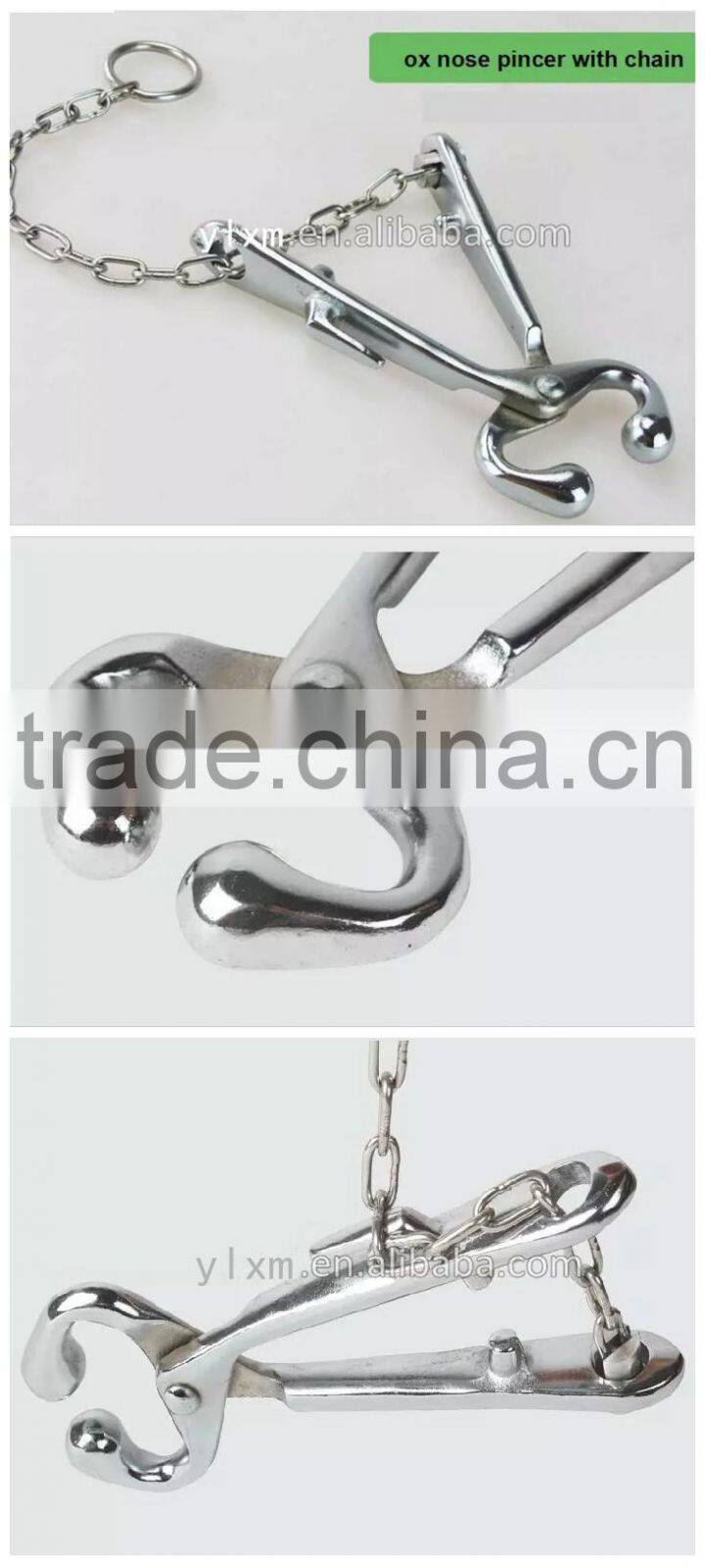 China suppliers veterinary instrument cattle chain nose pincer stainless steel cattle bull holder plier for sale