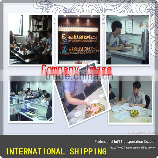 Foshan Ocean Freight Forwarding to Novorossiysk with Warehouse Consolidation