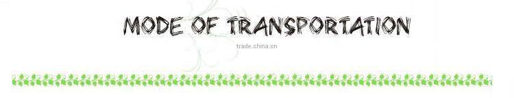 self-adhesive protection film for car