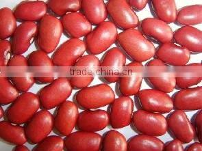 all size new crop kidney bean 2010